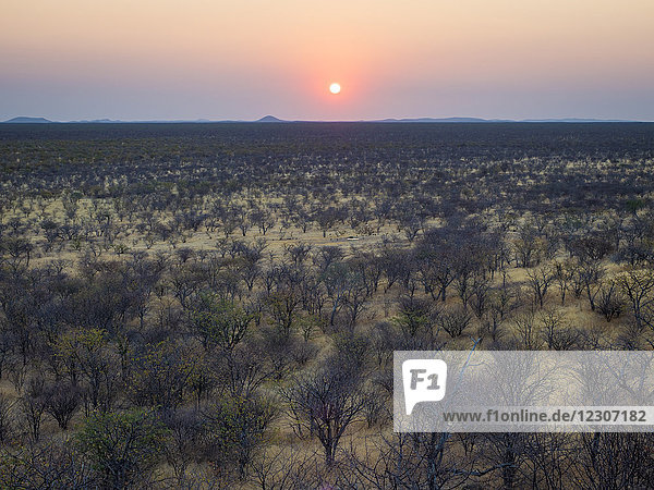 Afrika, Namibia, Damaraland, Sonnenuntergang über Buschland