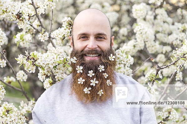 Porträt eines lachenden Hipsters mit weißen Baumblüten im Bart