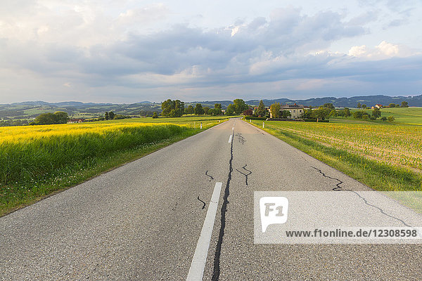 Austria  Upper Austria  Muehlvierlel  empty country road