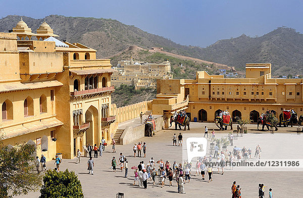 India  Rajasthan  arrival of the elephants carrying tourists on the Amber Fort esplanade
