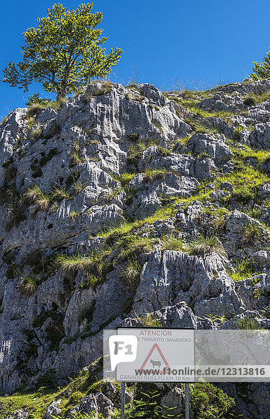 Spanien  Asturien  Covadonga  Straßenschild  das auf eine Tierkreuzung in der Nähe der Straße zu den Seen hinweist.