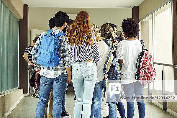 Group of students standing in school corridor  rear view