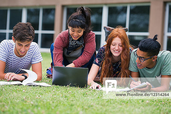 College-Studenten lernen gemeinsam im Freien