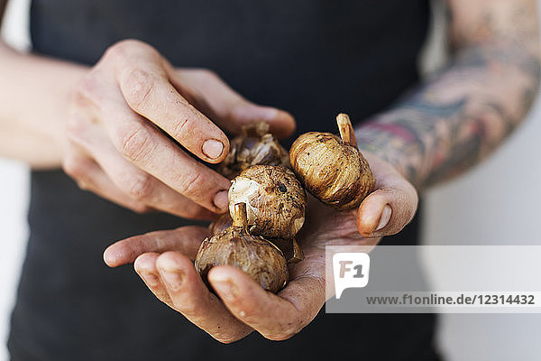 Mid section of man holding fresh garlic