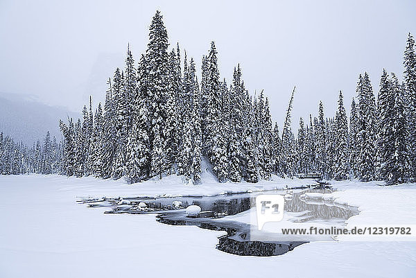 Schneebedeckter Winterwald mit zugefrorenem See  Emerald Lake  Yoho National Park  UNESCO Weltkulturerbe  British Columbia  The Rockies  Kanada  Nordamerika