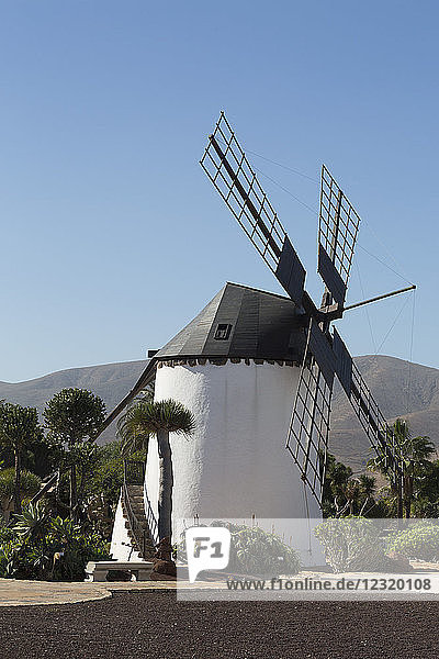 Windmühle im Museo del Queso Majorero bei Antigua auf Fuerteventura  Kanarische Inseln  Spanien  Atlantik  Europa