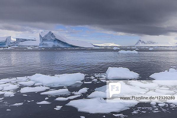 Eisberge und Gletscher vor Cuverville Island  Errera-Kanal  Danco-Küste  Antarktische Halbinsel  Antarktis  Polarregionen