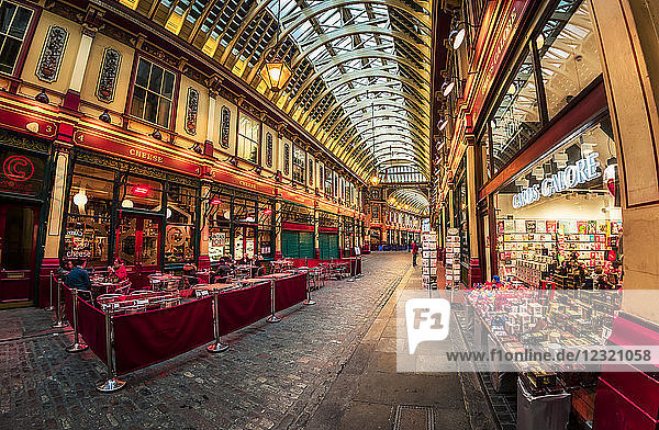 Fisheye view of interior of Leadenhall Market  The City  London  England  United Kingdom  Europe