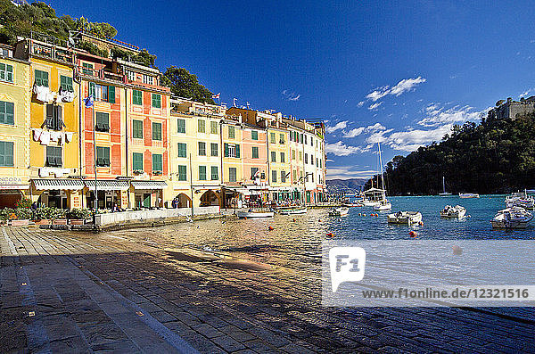 Portofino harbour  Liguria  Italy  Europe