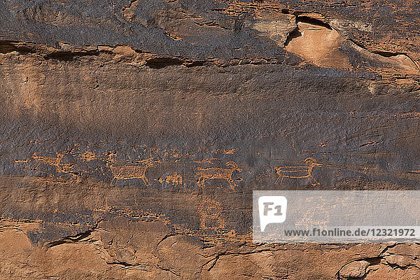 Petroglyphen  Near River House Ruins  Ancestral Pueblo  Shash Jaa National Monument  Utah  Vereinigte Staaten von Amerika  Nordamerika