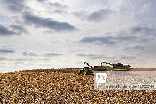 Combine unloads into a grain wagon during corn harvest  near Nerstrand; Minnesota  United States of America
