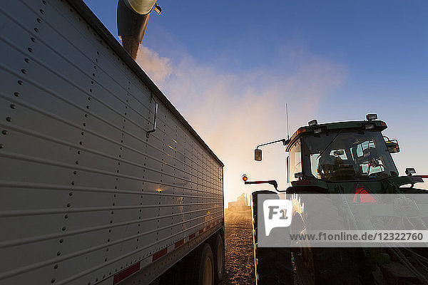 Traktor und Getreidewagen beim Entladen von Sojabohnen in einen Lastwagen bei der Ernte  in der Nähe von Nerstrand; Minnesota  Vereinigte Staaten von Amerika