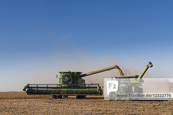 Mähdrescher beim Entladen von Sojabohnen in Traktor und Getreidewagen bei der Ernte  in der Nähe von Nerstrand; Minnesota  Vereinigte Staaten von Amerika