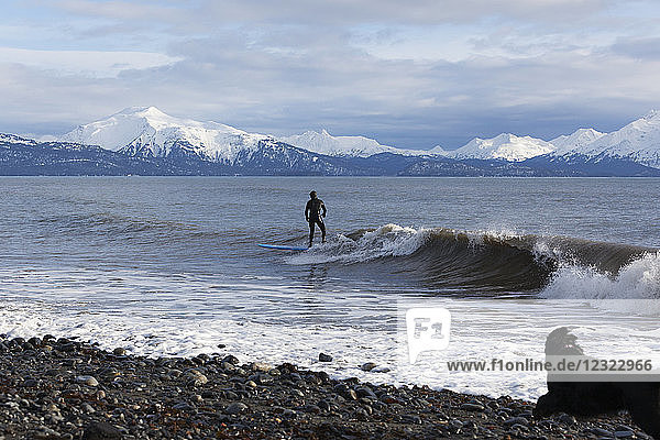 Surfer in Kachemak Bay  South-central Alaska; Homer  Alaska  United States of America