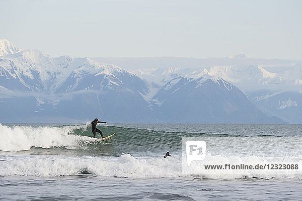 Surfer auf einer Welle mit Fairweather Range im Hintergrund  Südost-Alaska; Yakutat  Alaska  Vereinigte Staaten von Amerika