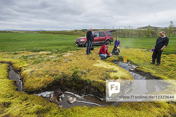 Cooking an egg in a net in a boiling spring; Kleppjarnsreykir  Iceland