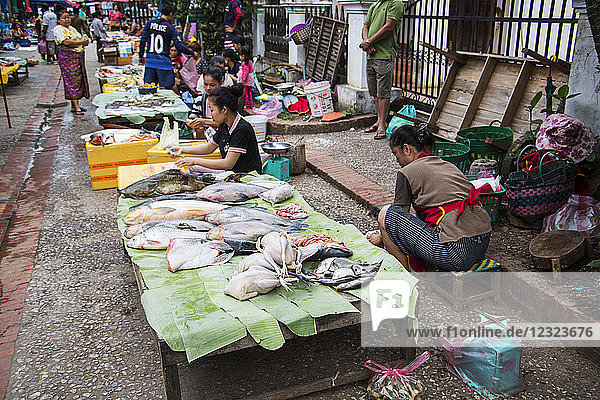 Fischhändler auf dem Morgenmarkt; Luang Prabang  Luang Prabang  Laos