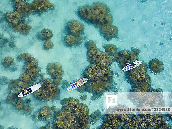 Luftaufnahme von Menschen auf Stand Up Paddle Boards über dem Riff in der Piti Bay  Marianen; Asan  Guam  Mikronesien