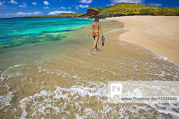 Eine junge Frau im Bikini mit Schnorchelausrüstung  Kawakiu Nui Beach an Molokais Westende; Molokai  Hawaii  Vereinigte Staaten von Amerika