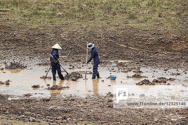 Women using a metal detector while clearing landmines in a field near Phonsavan; Xiangkhouang  Laos