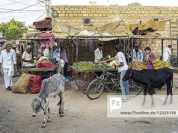 Straßenszene mit Tieren und Verkäufern; Jaisalmer  Rajasthan  Indien