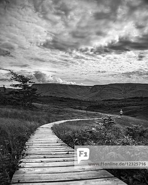 Black and white image of a wooden boardwalk stretching across a landscape with a man in the distance; Bonavista  Newfoundland and Labrador  Canada