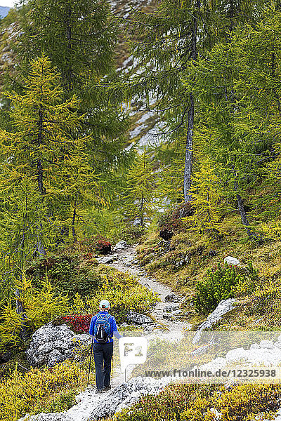 Wanderin auf alpinem Weg mit Herbstfarben; Sexten  Bozen  Italien