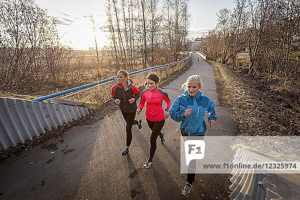 Drei junge Frauen laufen bei Sonnenaufgang auf einem Pfad; Anchorage  Alaska  Vereinigte Staaten von Amerika