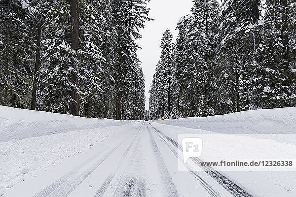 Verschneite und vereiste Straße in den Bergen; Keno  Oregon  Vereinigte Staaten von Amerika