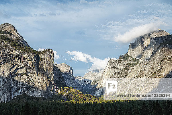 Landschaft im Yosemite Valley  Yosemite National Park; Kalifornien  Vereinigte Staaten von Amerika