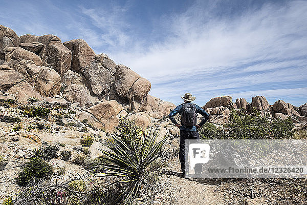 A senior man standing on a trail in Joshua Tree National Park looking at rock formations; California  United States of America
