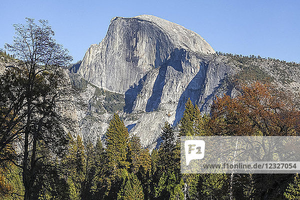 Half Dome vom Yosemite Valley aus gesehen  Yosemite National Park; Kalifornien  Vereinigte Staaten von Amerika