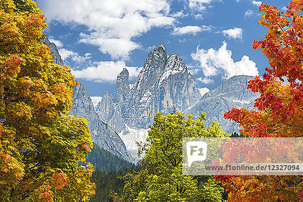 Bunte Bäume im Herbst mit einem dramatischen Berg im Hintergrund; Sexten  Bozen  Italien