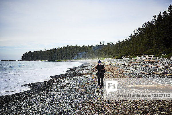 A woman walks along a rocky beach collecting firewood in Cape Scott Provincial Park  Vancouver Island; British Columbia  Canada