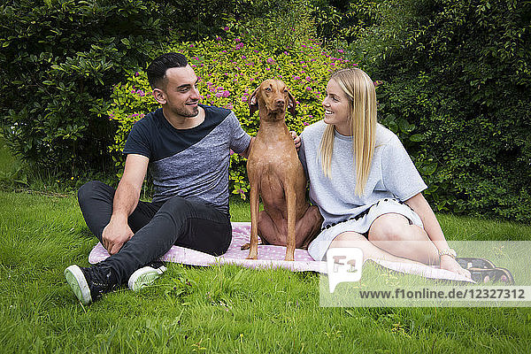 Young couple sitting on a blanket on the grass with their Vizsla dog; Reigate  Surrey  England