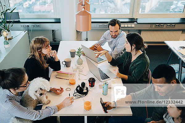 High angle view of business people sitting with boy and dog at desk in creative office
