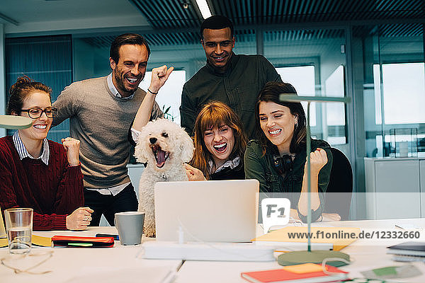 Excited business team with dog at desk in creative office