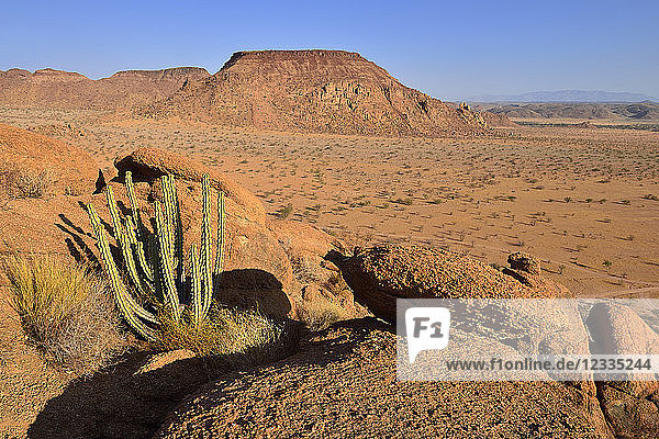 Africa  Namibia  Kunene Province  Namib Desert  Damaraland  Twyvelfontein  Aba Huab valley  granite landscape
