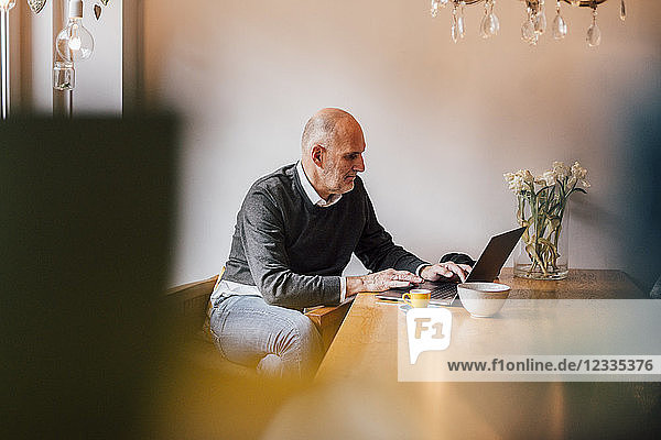Senior man sitting at home  using laptop