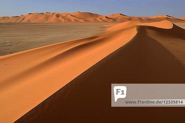 Africa  Algeria  Illizi Province  Sahara desert  Tassili n'Ajjer National Park  Tadrart  sand dunes of In Tehak