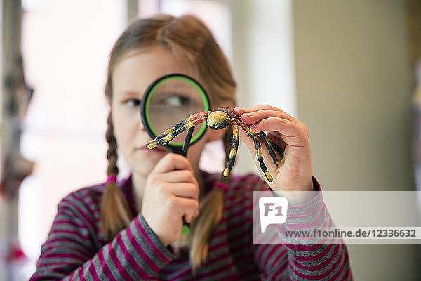 Girl examining fake spider with magnifying glass