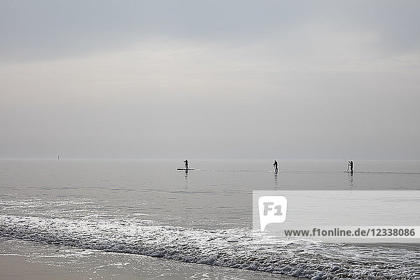 Germany  Schleswig-Holstein  Sylt  Stand up paddle surfing