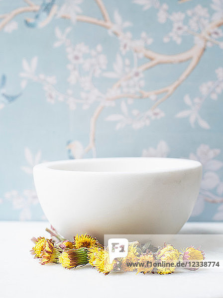 Dandelions by ceramic bowl