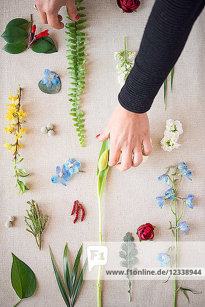 Frau arrangiert Blumenköpfe und Blattstiele auf Textil  Detail der Hände  Draufsicht