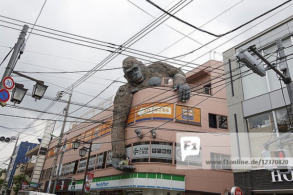A giant gorilla holding a school girl in its hand is seen over the side of a building of Sangenjaya area on May 30, 2018, Tokyo, Japan. The 'Gorilla Building' (as known) displays a colossal statue figure of a gorilla, on top of a commercial building, keeping on its hand a statue figure of a school girl, which scene reminds the famous science fiction movie King Kong, where an enormous gorilla protects a young lady.