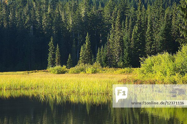 Elk Lake  Mt Hood National Forest  Oregon.
