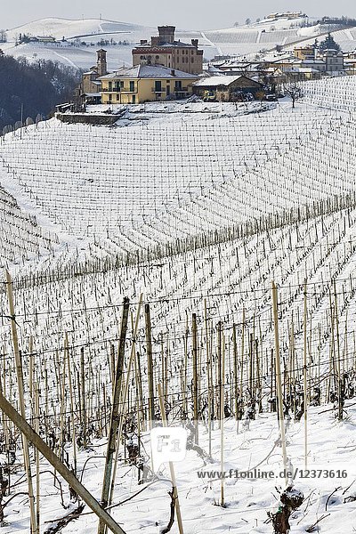 Langhe  Cuneo district  Piedmont  Italy. Langhe wine region winter snow  Barolo castle.