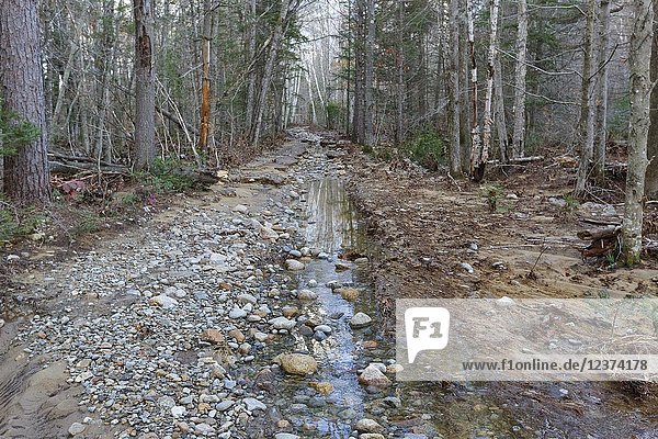 Flood damage area along the Pemi East Side Trail / Road in Lincoln  New Hampshire on October 31  2017 after heavy rain and strong winds from an October 29-30  2017 storm.