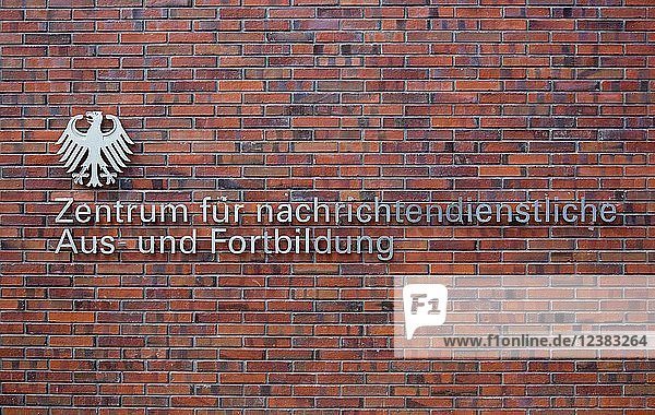 Schriftzug auf Backsteinmauer  Zentrum für Intelligenztraining  Berlin  Deutschland  Europa