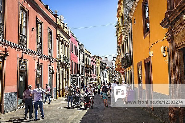 Lively alley with typical colorful houses in the pedestrian area  old town  San Cristóbal de La Laguna  Tenerife  Canary Islands  Canary Islands  Spain  Europe